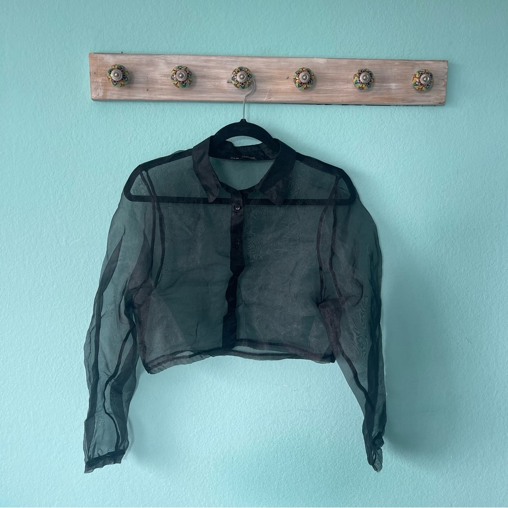 Zara Cropped Button Down